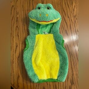 Frog Costume